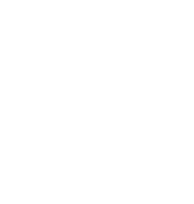 Novo Logo Cliente 27